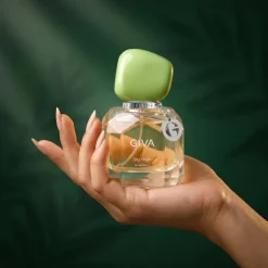Air and Aura Gift Combo