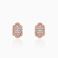 Dual Tone Aurora Angle Silver Earrings