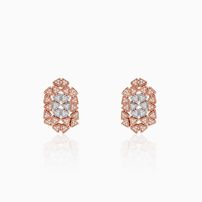 Dual Tone Aurora Angle Silver Earrings