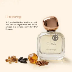 Everyday Luxe Gift Combo