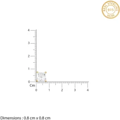 Golden Classy Zirconia Stud For Him