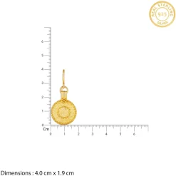 Golden Disc Earrings