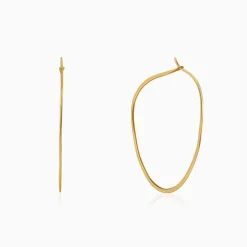 Golden Floating Hoop Earrings