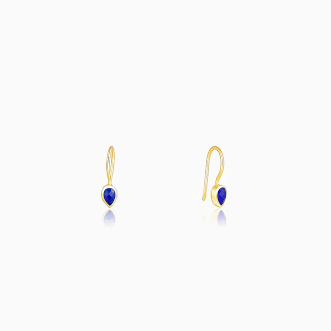 Golden Indigo Teardrop Earrings