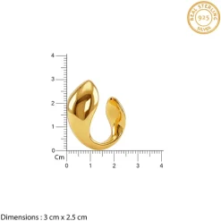 Golden Mod Dolphin Hoop Earrings