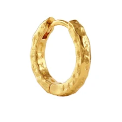 Golden Princess Hoop Earrings