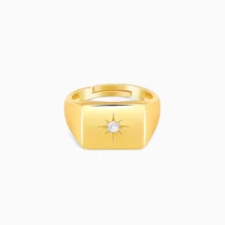 Golden Rise Star Signet Ring For Him
