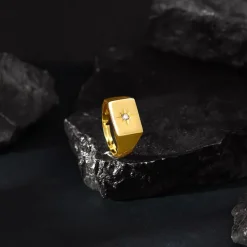 Golden Rise Star Signet Ring For Him