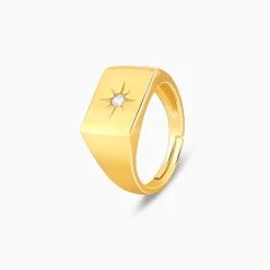 Golden Rise Star Signet Ring For Him