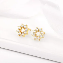 Golden Sparkling Earrings