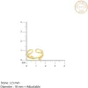Golden Twist & Turn Zircon Ring