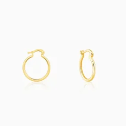 Golden Work Hoop Earrings