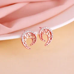 Rose Gold Dreamy Curve Earrings