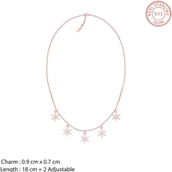 Rose Gold Frost Charm Necklace