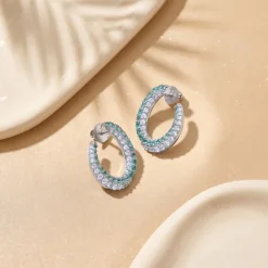 Silver Aegle Earrings