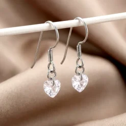 Silver Beyond Heart Earrings