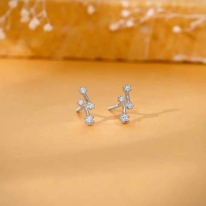 Silver Classy Glitter Earrings