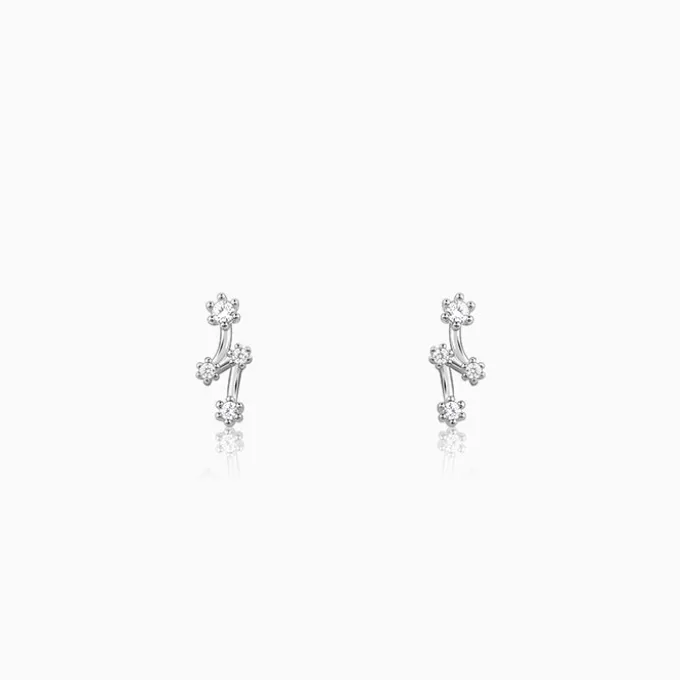 Silver Classy Glitter Earrings