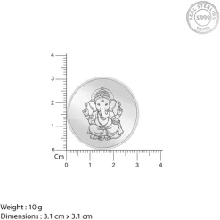 Silver Fortune Coin - (10g)