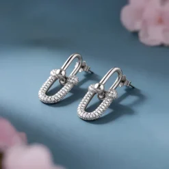 Silver Graduated Link Earrings