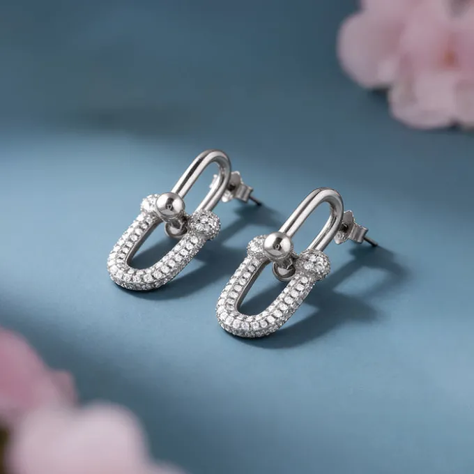 Silver Graduated Link Earrings