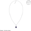 Silver Heart Of The Ocean Pendant With Link Chain