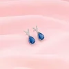 Silver Midnight Blue Earrings