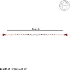 Silver Moustache (Moonchh) Rakhi