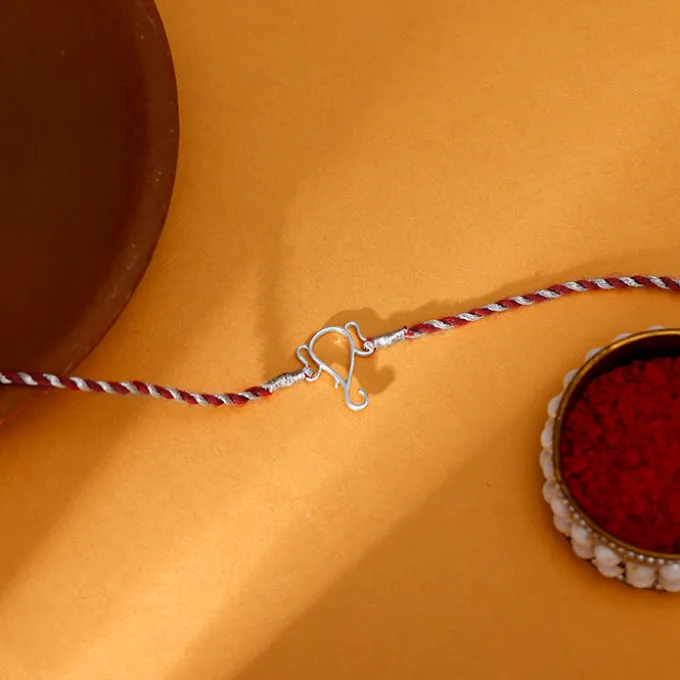 Silver Protector of All Rakhi
