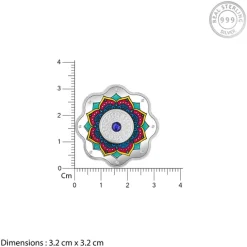 Silver Rakshabandhan Coin- 10g