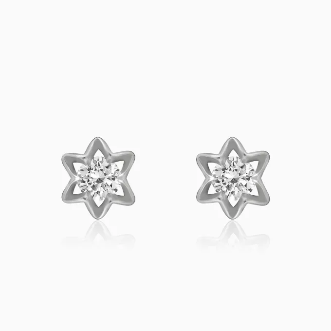 Silver Snowflake Set