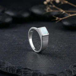 Silver Trend Moonstone Ring For Him