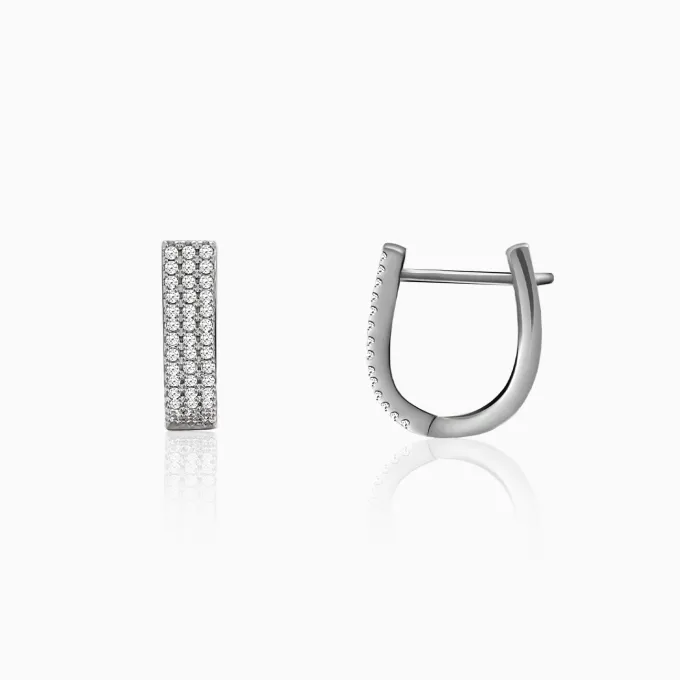 Silver Zircon Sparkling Stud Earrings